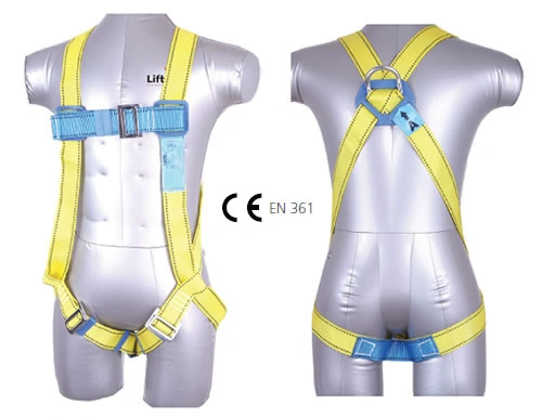 Light weight full body harness with dual color webbing